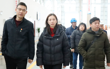 宜賓市工商聯(lián)調研遠東股份宜賓智能產(chǎn)業(yè)園